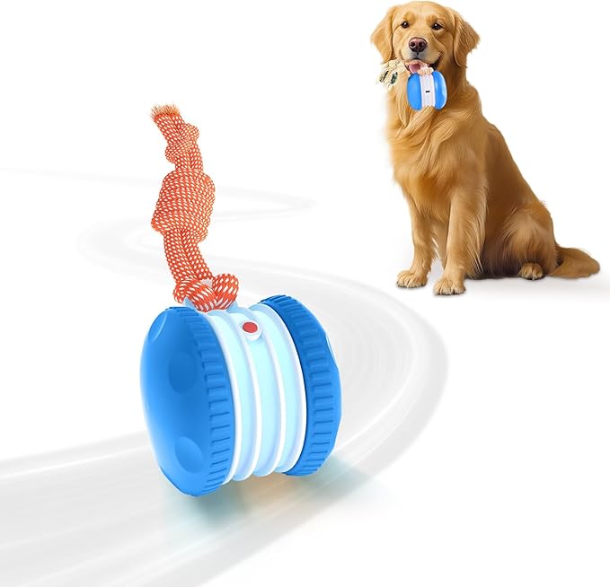 Interactive Dog Ball, Random Path Electric Automatic Moving and Rolling Dogs Toy by Unknown