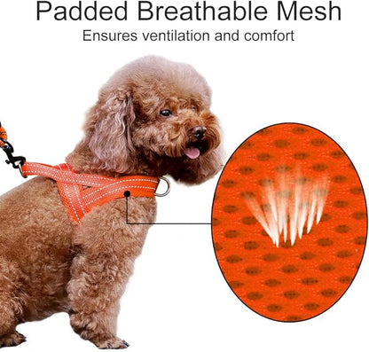Plutus Pet No Pull Dog Harness - Image 3