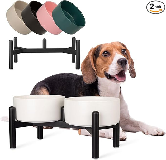Raised Ceramic Dog Bowl Set by PTOBER