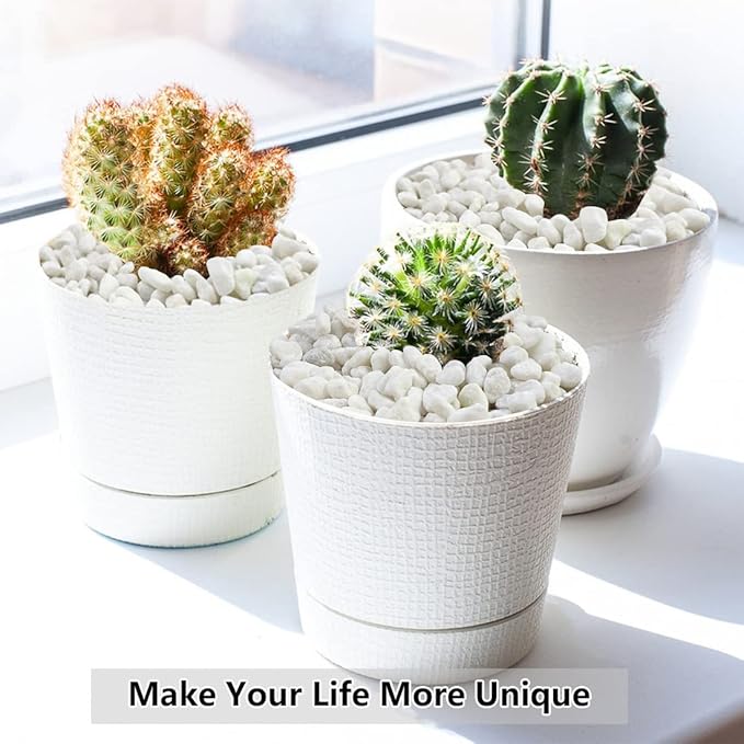 YISZM 5LB Succulent and Cactus Gravel Pebbles, 1/5 Inch White Natural - Image 5