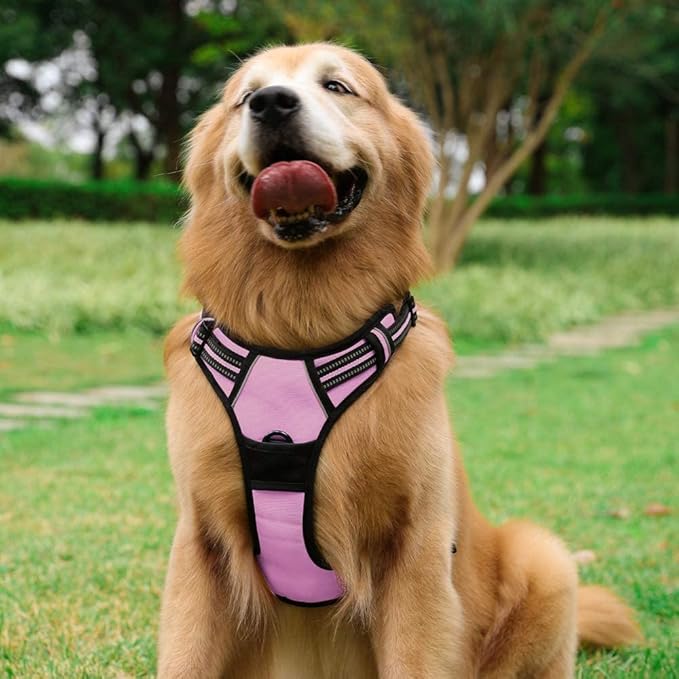rabbitgoo Dog Harness No Pull - Image 8