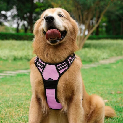 rabbitgoo Dog Harness No Pull - Image 8