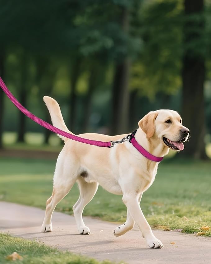 Joytale Dog Collars for Medium Dogs, Comfortable Double-Sided Reflective Nylon - Image 6