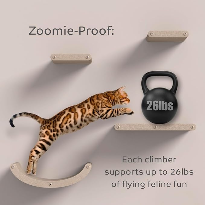 Wall Mounted Cat Shelves by Pryde Pets - Image 7