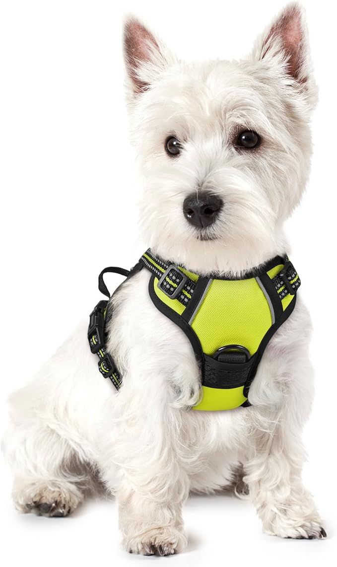 rabbitgoo Dog Harness No Pull by rabbitgoo