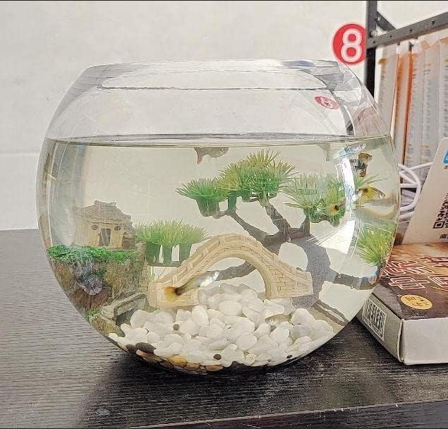 AWXZOM Small Japanese Fish Tank Decorations Set, Suitable - Image 5