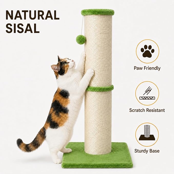 PAWSCRAT Cat Scratching Post 32 Inch High, 5.5 Inch Large Diameter Natural - Image 3