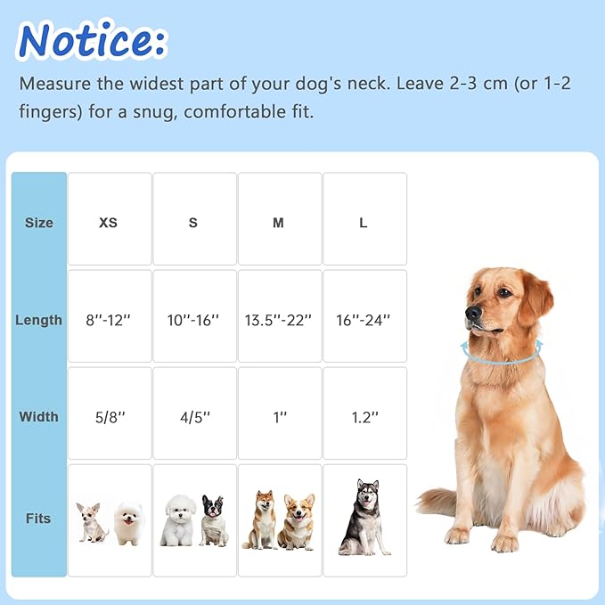 Medium Dog Collar, Girl Boy Dog Collars - Image 2
