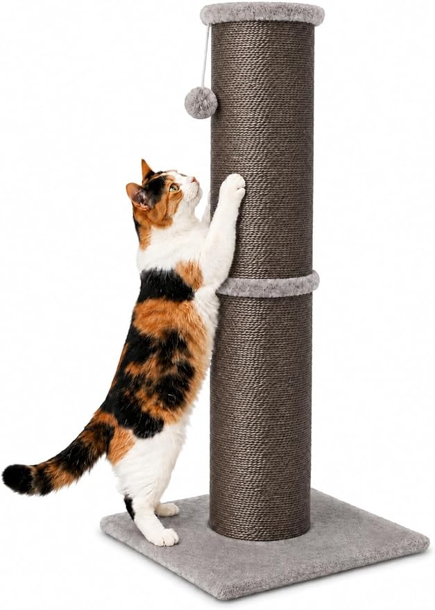 PAWSCRAT Cat Scratching Post 32 Inch High, 5.5 Inch Large Diameter Natural by PAWSCRAT