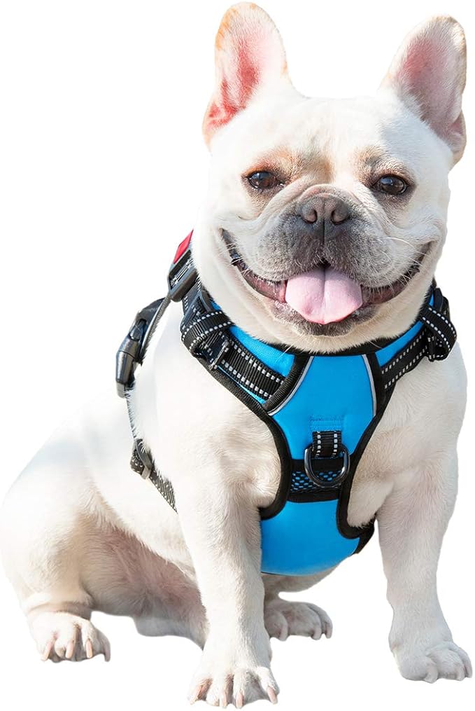 PHOEPET No Pull Dog Harnesses for Small Dogs Reflective Adjustable Front Clip - Image 8