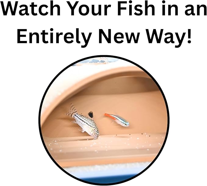 Lucky Critter Aquarium Underground Tunnel Cave Natural Curve | Viewing Fish & - Image 7