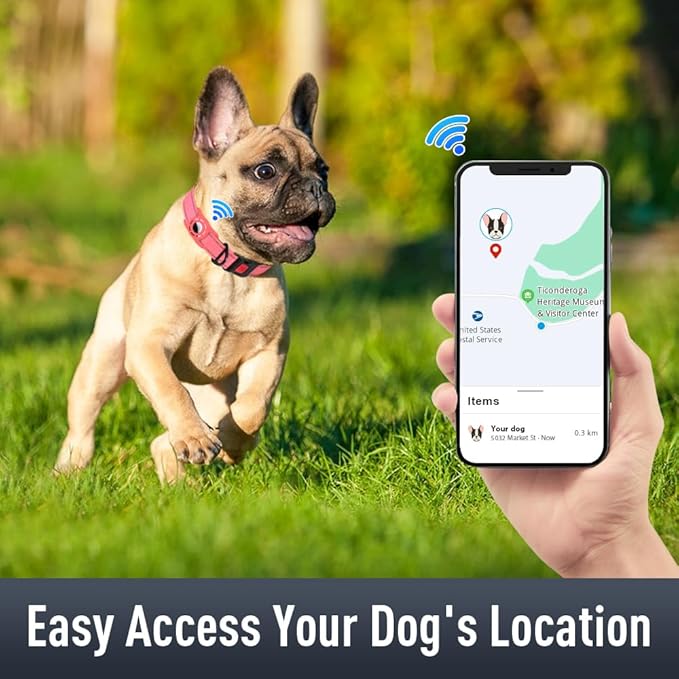 AirTag Dog Collar with AirTag Holder Compatible - Image 2