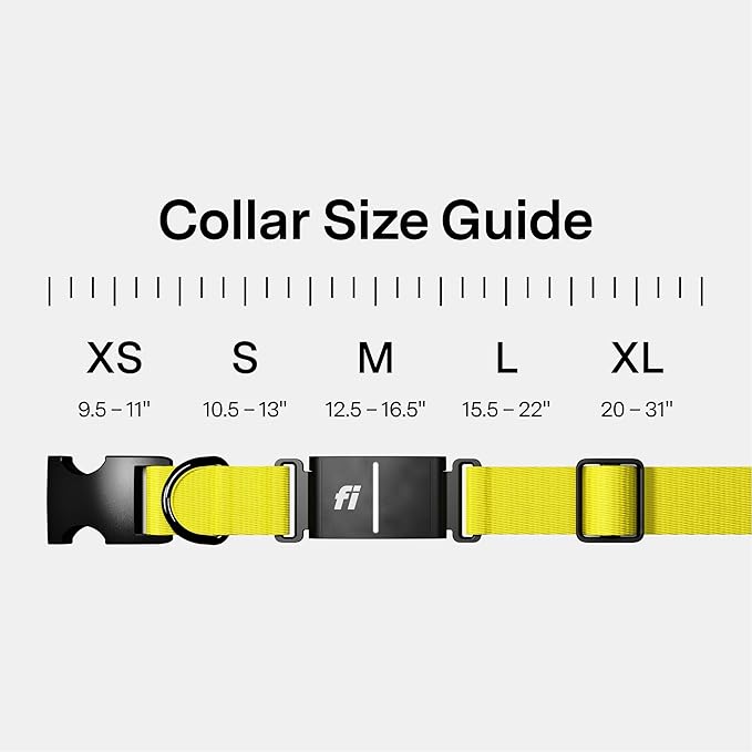 Fi New Series 3+ Smart Dog Tracker Collar GPS Tracker - Image 5