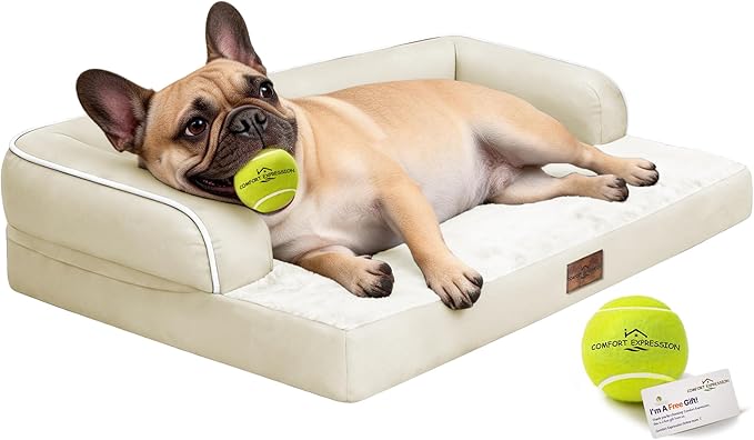 Comfort Expression Memory Foam Large Dog Bed by ComfortExpression