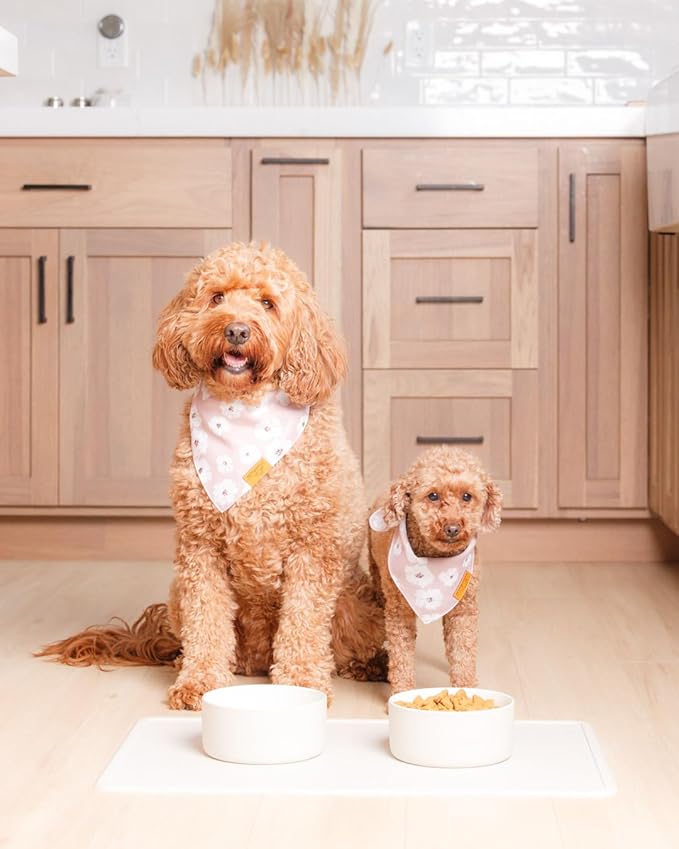 Remy+Roo Stone Silicone Dog Food Mat - Image 2