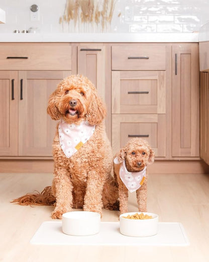 Remy+Roo Stone Silicone Dog Food Mat - Image 2