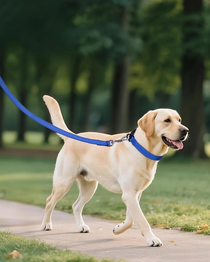 Joytale Dog Collars for Medium Dogs, Comfortable Double-Sided Reflective Nylon - Image 6