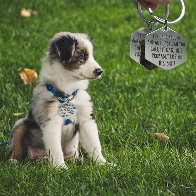 Funny Dog Tags, Stainless Steel Funny Pet Tag, Deeply Engraved Dog Collar Tag - Image 3