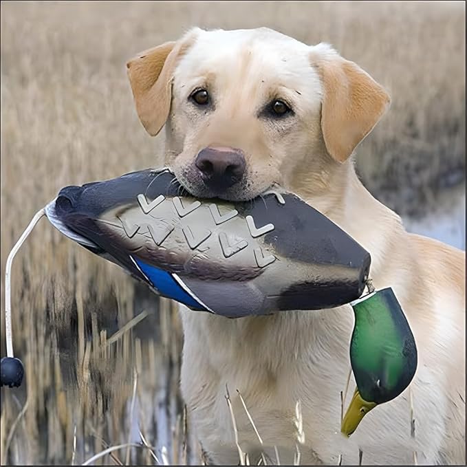 fingig 2 Pcs Duck Dummy Bumper Toys - Image 2