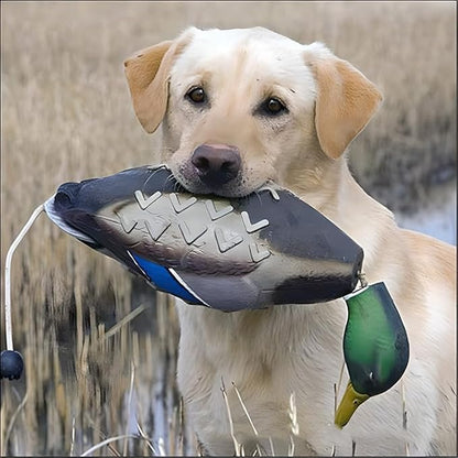 fingig 2 Pcs Duck Dummy Bumper Toys - Image 2