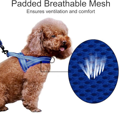 Plutus Pet No Pull Dog Harness - Image 3