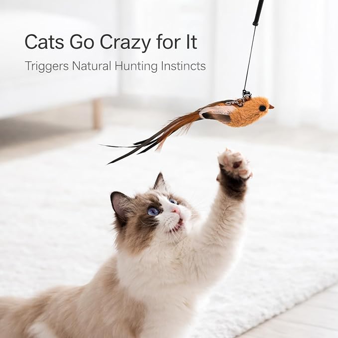 11PCS Realistic Bird Cat Toy Refills – Handmade Feather Cat Toys - Image 2