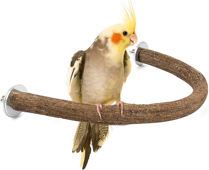 Rypet Natural Wood Bird Perch, U-Shaped Safe Chew & Rest Perch by RYPET