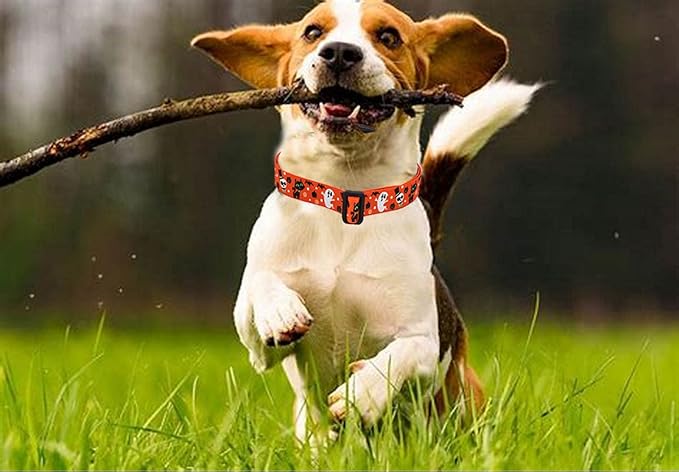 Mihqy Halloween Dog Collar - Image 7