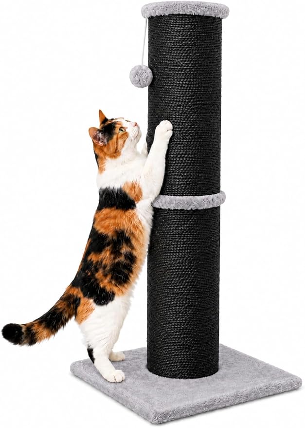 PAWSCRAT Cat Scratching Post 32 Inch High, 5.5 Inch Large Diameter Natural by PAWSCRAT