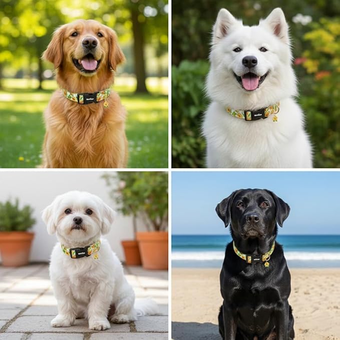 Dog Collar for Extra Small Dogs, Spring &Summer Theme Dog Collars - Image 3