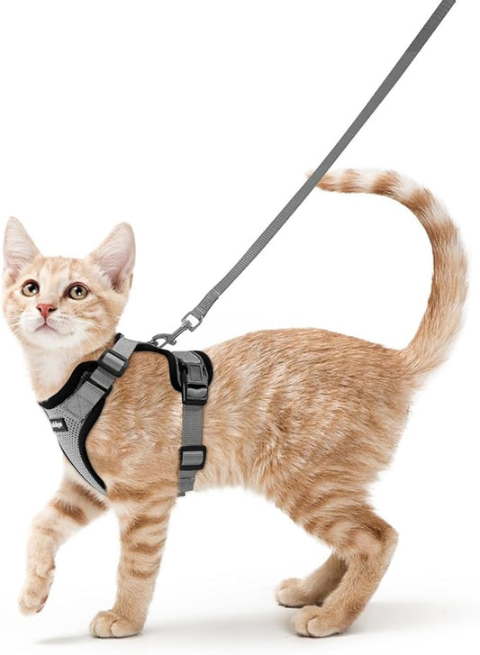 rabbitgoo Cat Harness and Leash Set, Escape Proof Kitten Harness by rabbitgoo