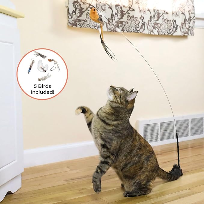 Whiskertons Interactive Bird Simulation Cat Toy Set, Interactive Cat Toys - Image 3
