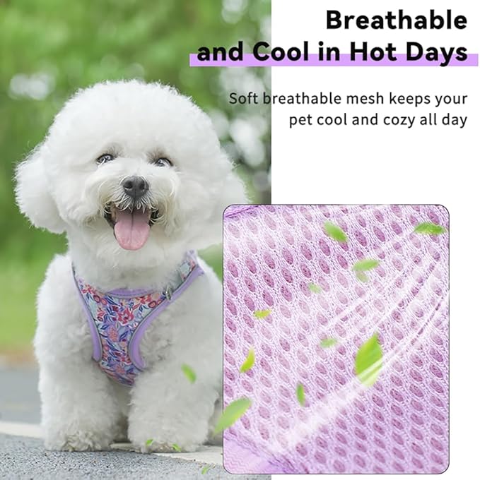 Step in Dog Harness and Leash Set, Flower Adjustable Easy Walk Puppy Harnesses - Image 3
