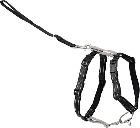 PetSafe 3 in 1 No-Pull Dog Harness by PetSafe