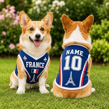 V-DECORPARKS Personalized Pet Soccer Jersey Custom Name Number Dog Cat Football - Image 5