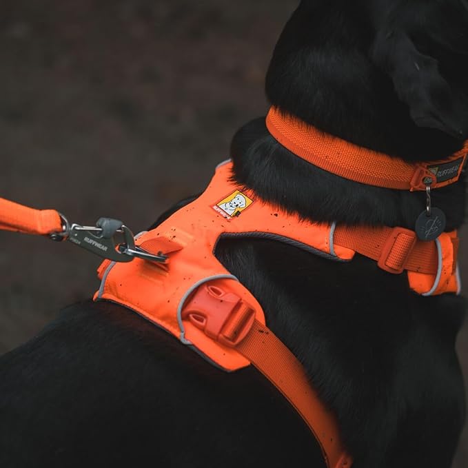 Ruffwear, Front Range Dog Harness, Reflective Soft Padded Everyday Harness - Image 5