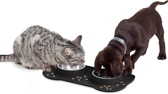 AsFrost Dog Food Bowls Stainless Steel & Water Dish - Image 5