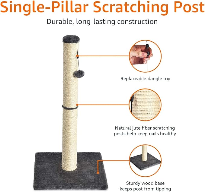 Amazon Basics Cat Scratching Post - Image 2