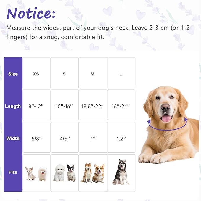 Dog Collar for Extra Small Dogs, Spring Purple Dog Collars - Image 2