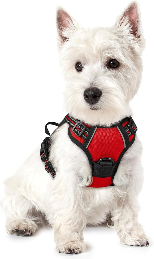 rabbitgoo Dog Harness No Pull by rabbitgoo