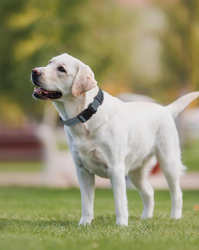 Joytale Dog Collars for Medium Dogs, Comfortable Double-Sided Reflective Nylon - Image 2