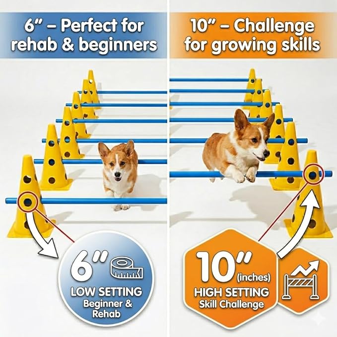 Dog Agility Training Jumping Hoop - Image 2