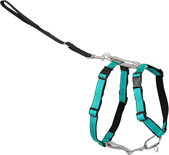 PetSafe 3 in 1 No-Pull Dog Harness by PetSafe