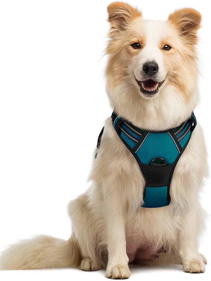 rabbitgoo Dog Harness No Pull by rabbitgoo