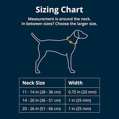 Ruffwear, Crag Dog Collar, Stylish Adventure Collar - Image 2