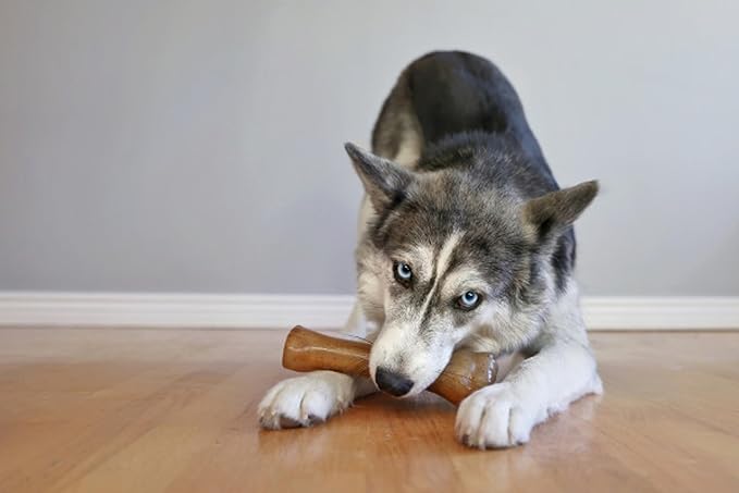 Nylabone Puppy Chew Knuckle Bone - Image 2