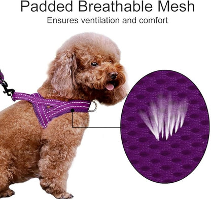 Plutus Pet No Pull Dog Harness - Image 3