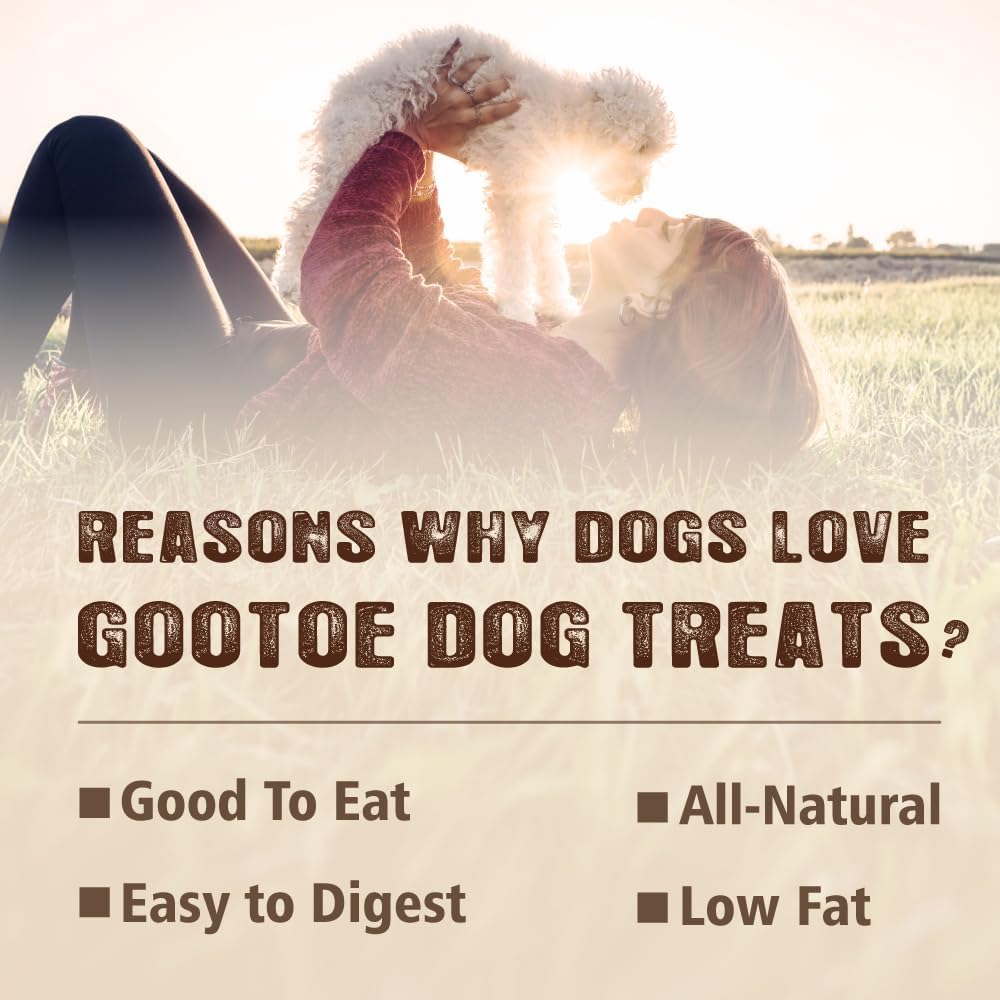 Gootoe Chicken Chips 1lb, All Natural, Grain-Free, High-Protein, Low Fat, Healthy & Easily Digestible, Soft Texture