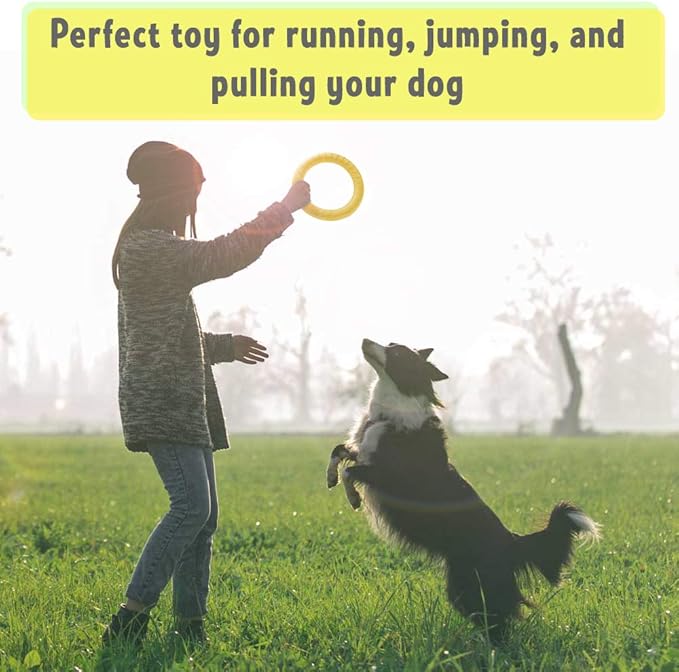 PetSpy Dog Ring Toy – Flying Ring - Image 2