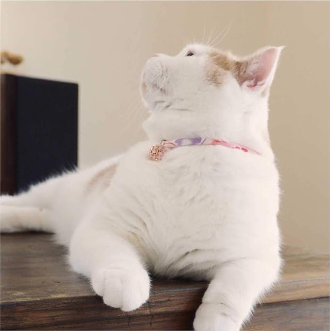 Necoichi Chirimen Cat Collar - Image 6